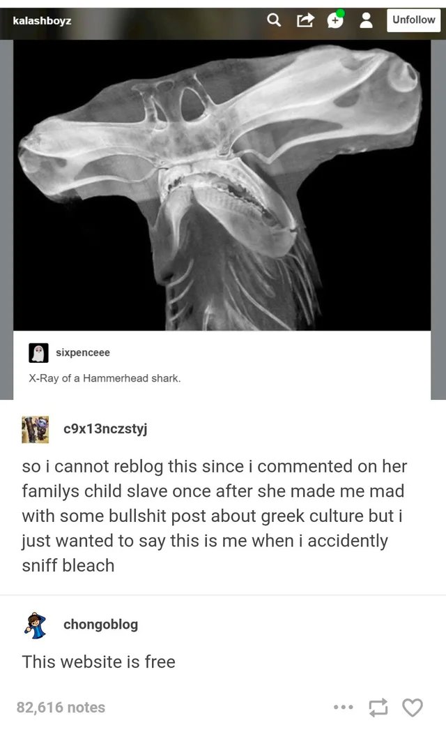 Diogenes the Marxist Jew tweet media