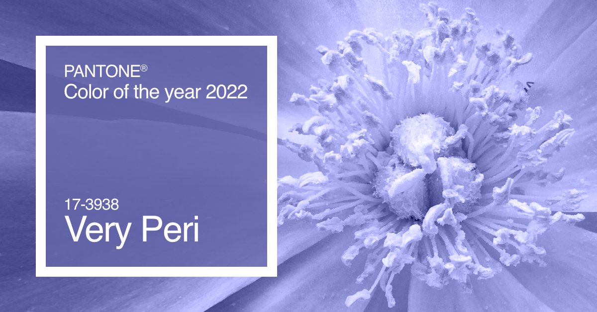 arachnoweb's tweet photo. Pantone Very Peri è già adottato - e adorato - in Arachno.
Nel nostro lavoro ci esprimiamo spesso con i colori che sono un fil-rouge tra tutti i nostri progetti in questi 8841 giorni di espressione creativa. https://t.co/j1CEpRqfF8