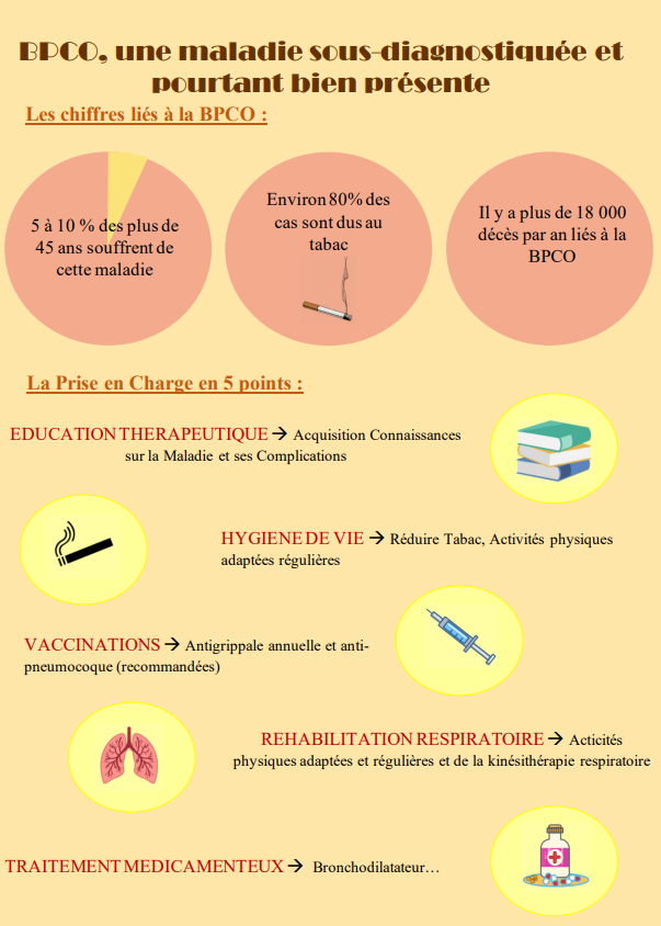 Mer_PauStaps's tweet photo. La BPCO et plus précisément la bronchopneumopathie chronique obstructive est une maladie sous diagnostiqué.
Rendez sur ce site pour plus d’informations :
https://t.co/qKRuADxMvB
#L3APASVICHY @Sante_Gouv @Sports_gouv https://t.co/vX7ZmIgMki