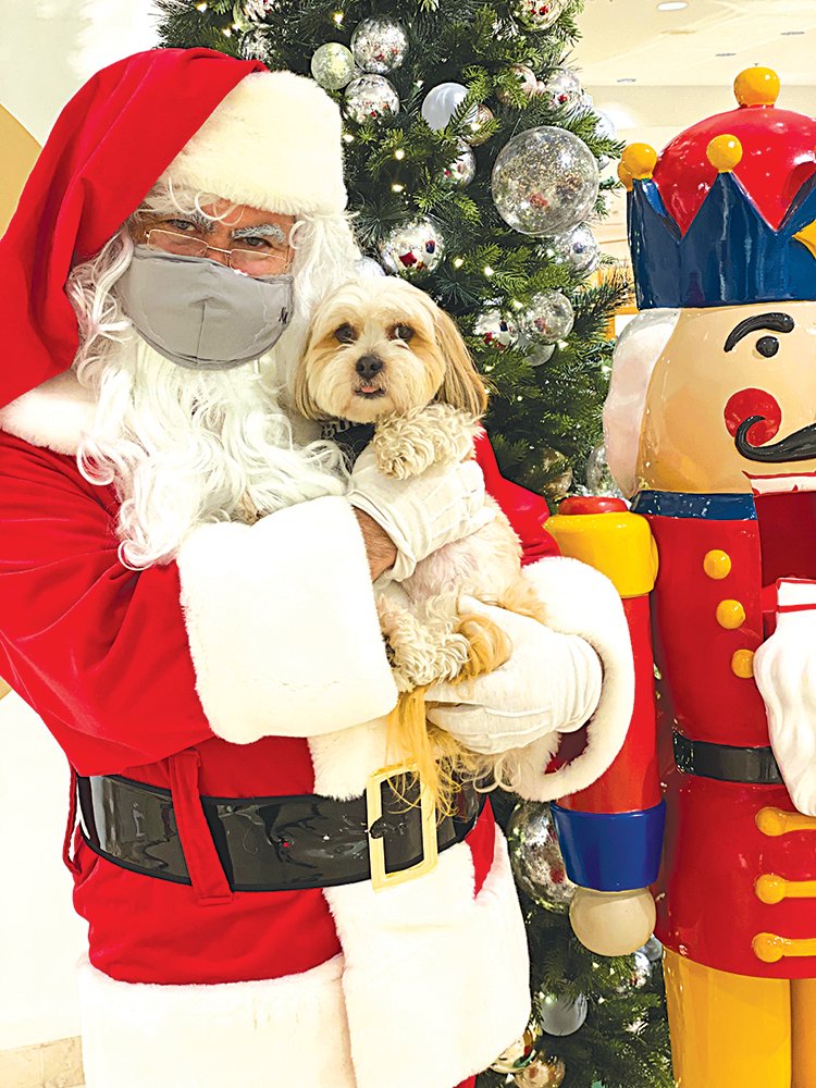 With a suggested donation of $10 made to @hawaiianhumane, pet owners can snap a photo of their pet with Santa Claus at Neiman Marcus' first floor, 11 a.m.-2 p.m. Dec. 18. Guests are asked to bring their own camera. #midweekhawaii #hawaii #petphotos #photoswithsanta