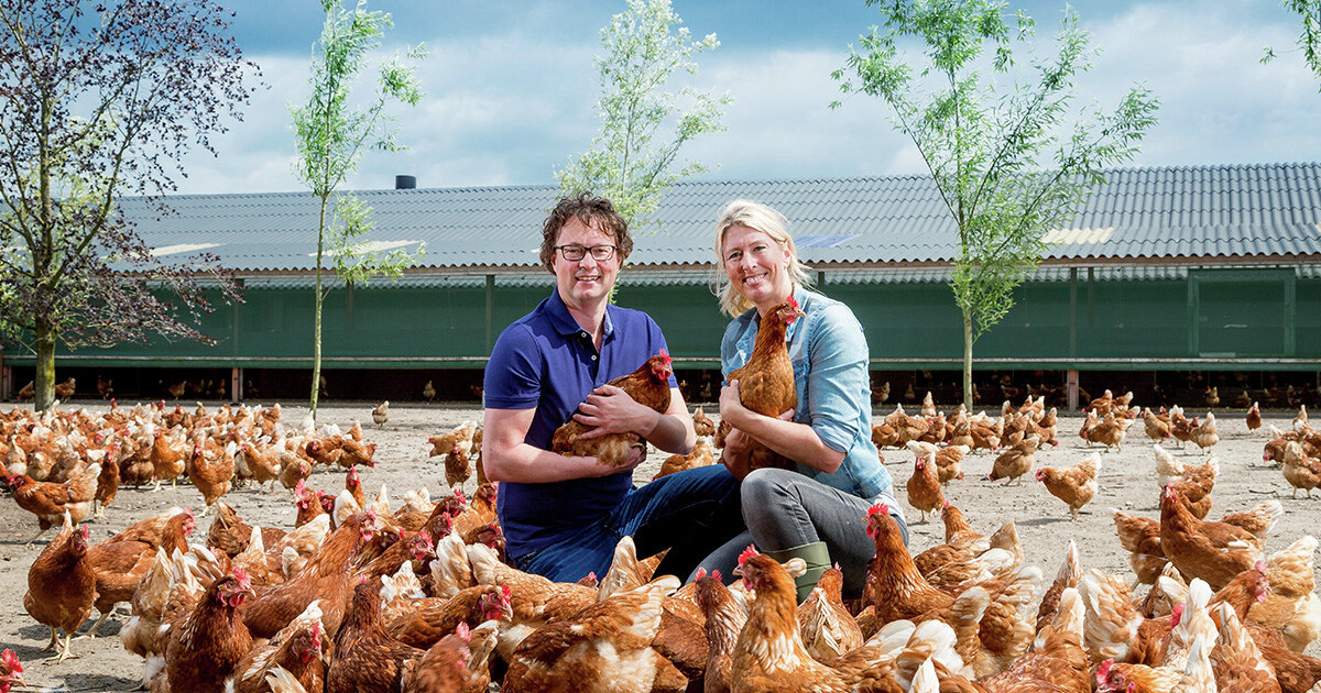 #vacature medewerker #klantenservice #verkoopondersteuning bij Reudink: mooie functie in de biologische sector. Veel contact met klanten en buitendienst. Kennis Engels/Duits is een pre. Check ➡️ bit.ly/3m8A8Tn  #werkenbijforfarmers #nieuweuitdaging #forthefutureoffarming