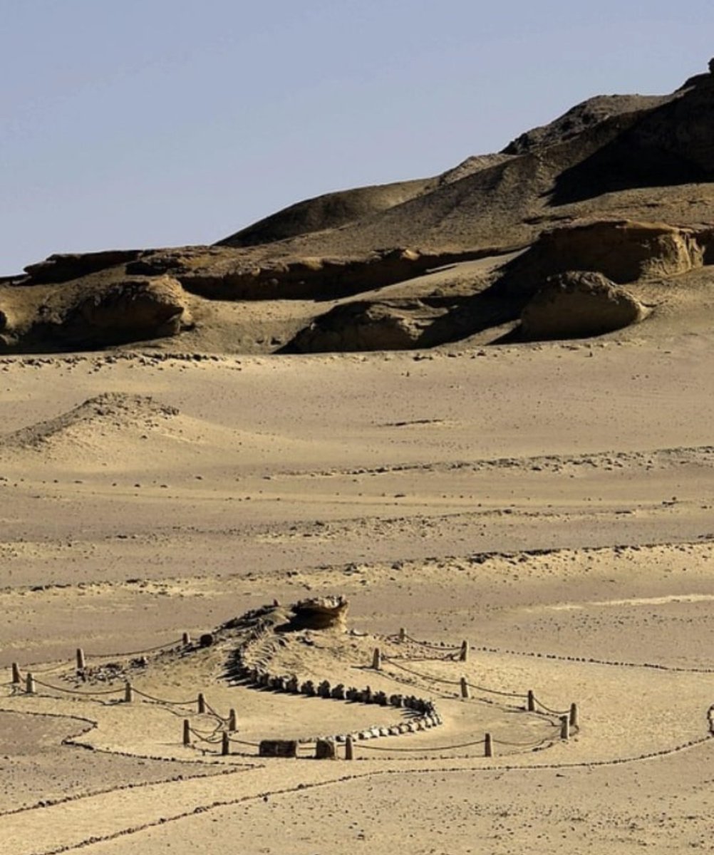 ColbyHolt's tweet image. Whale skeletons are constantly found in Egypt.... Kind of seems like there could have been water there at some point....#JoeRogan #BrightInsight6