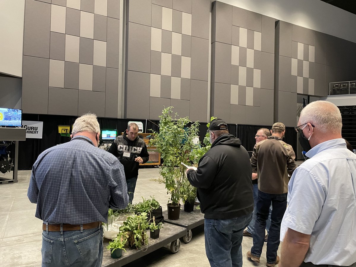nciacrops's tweet image. It’s almost like the Iowa State Fair weed Identification contest, except I don’t have prizes.  Why weeds? Why not? We talk about their implications in reduced tillage systems. #SMS2021