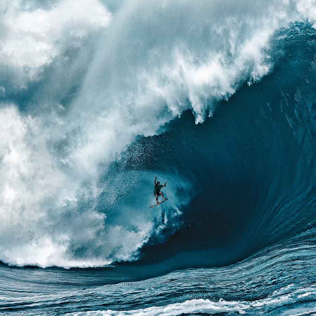 Cryptograph tweet media