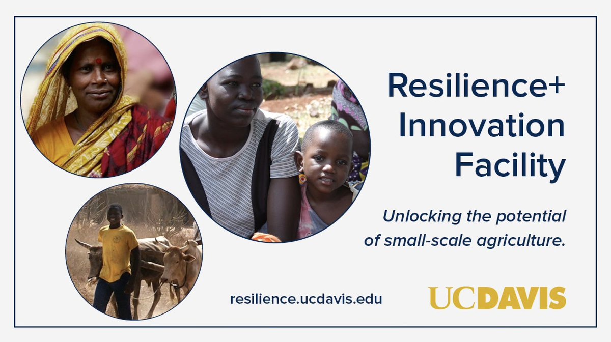 The new Resilience+ Innovation Facility (<a href="/ResilientAgDev/">Resilience+ Innovation Facility</a>) at <a href="/ucdavis/">UC Davis</a> will leverage research and practice from across the development community to unlock the potential of small-scale agriculture. resilience.ucdavis.edu.
#InclusiveAgTransformation #globaldev
