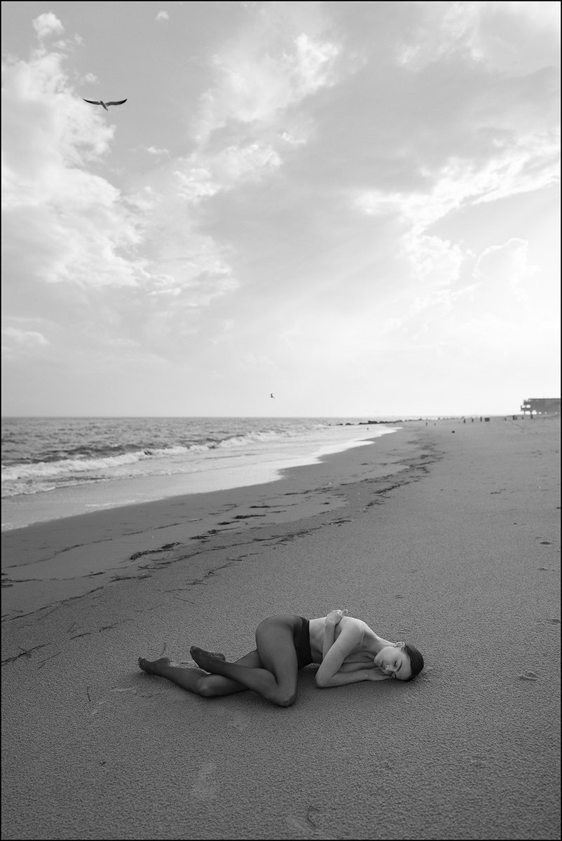 Ballerina Project tweet media