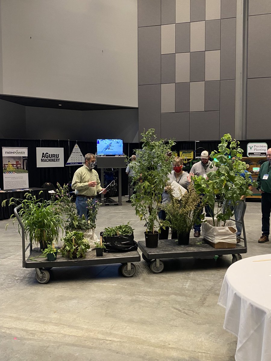 soilwarrior's tweet image. Demonstration morning at #SMS2021 #Erosion #CarbonToNitrogen #SoilTexture #Weeds #SoilFiltration