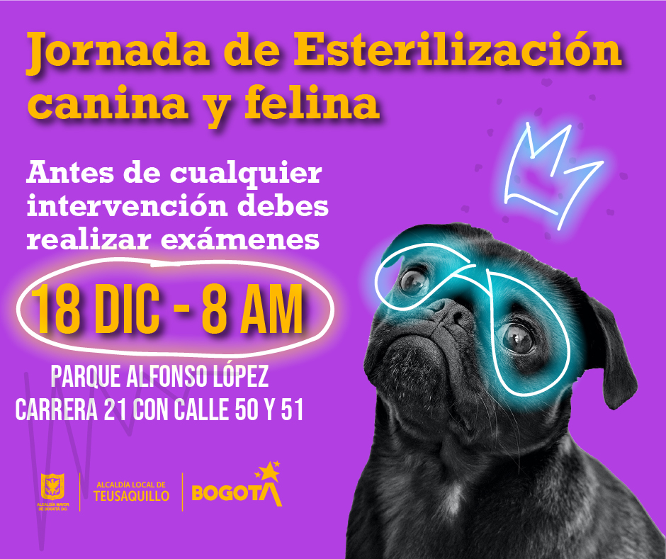 LabTeusaquillo tweet media