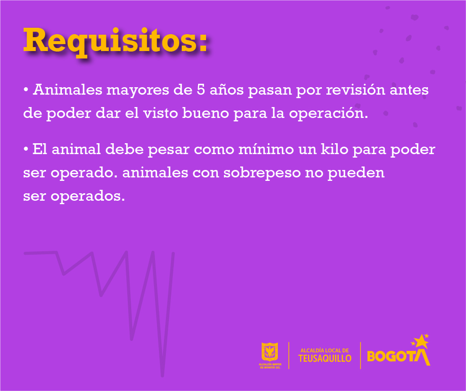 LabTeusaquillo tweet media