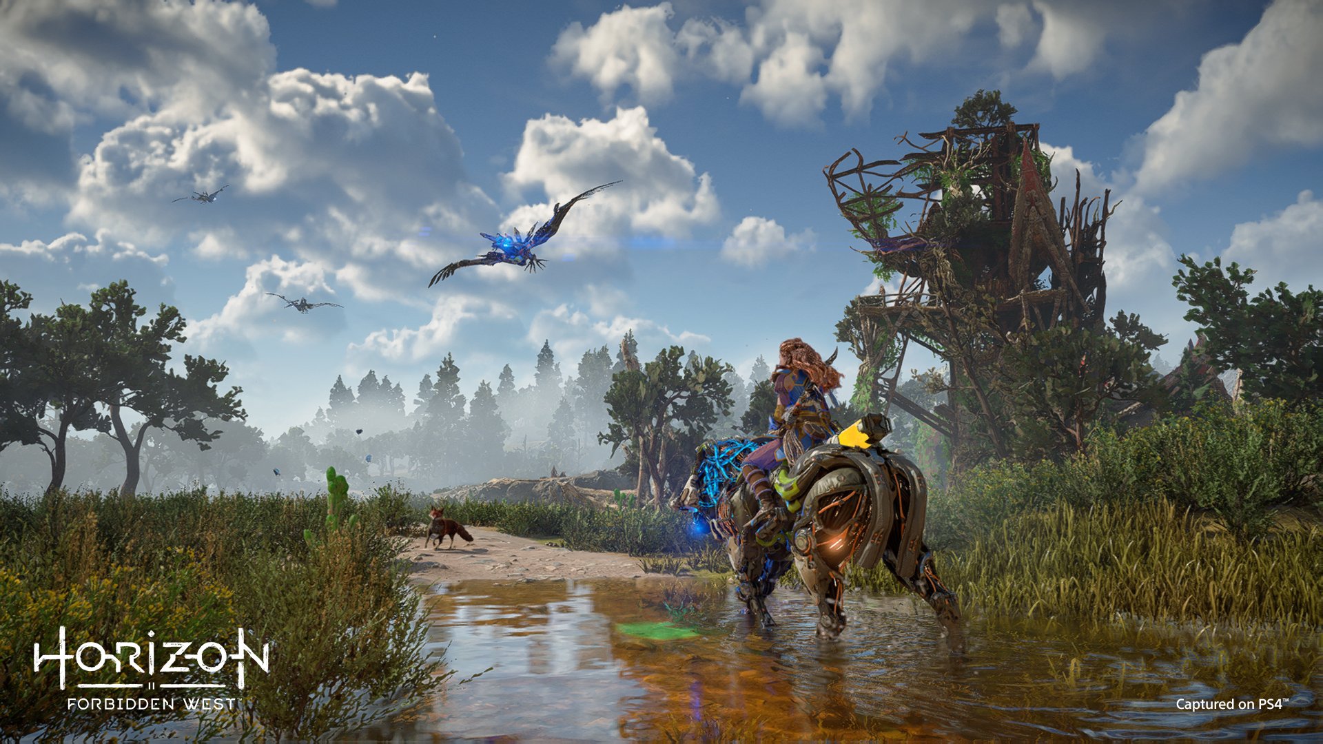 Guerilla Games' Horizon Forbidden West is getting rave reviews - Xfire