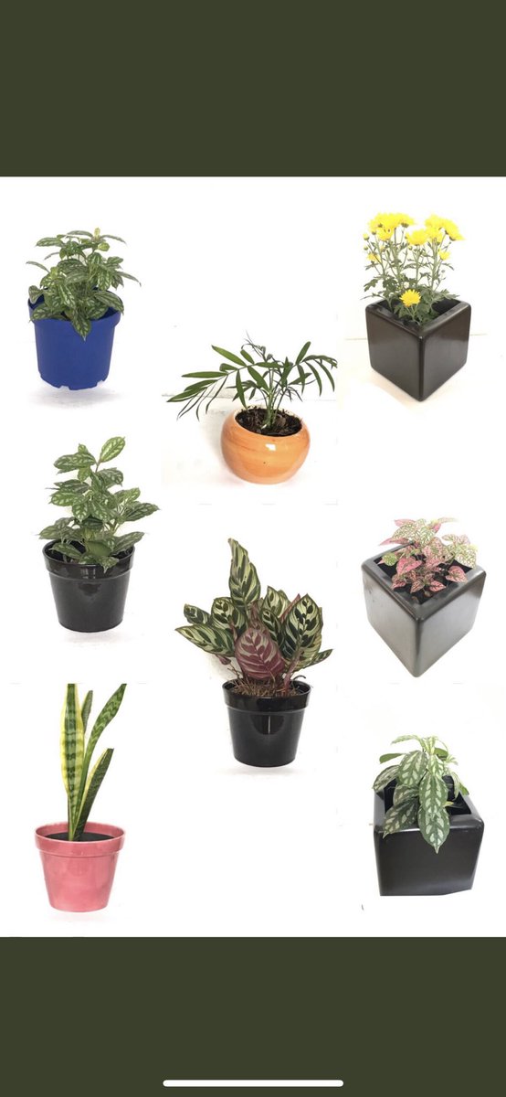 LOVELY_LIGHT_MX's tweet photo. @Cynnderela Hola, bases y macetitas para plantas. Tenemos por promo navideña!  E-mail: lovely.light.mex@gmail.com https://t.co/uPLRfQmB3w