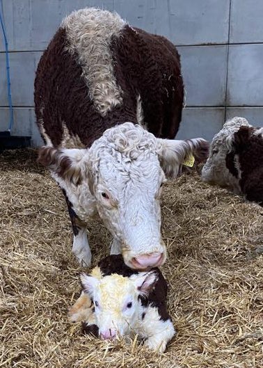 Proud Mum