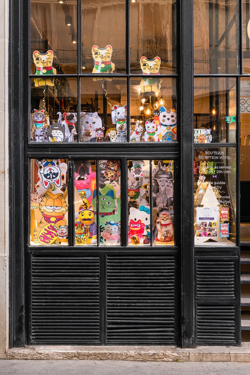 ARISTIDEhotel's tweet photo. YOU ARE MY LUCKY CAT 🐱💫🧧 Notre nouvelle vitrine de Noël est en place : des Maneki Nekos mignons/coquins/kitsch/glossy/arty/freaky venus des 4 coins du monde pour vous porter chance et vous garantir une année 2022 au poil 🍀😻

Pleins de nouveautés à découvrir en boutique ! https://t.co/XqvtIthnzC
