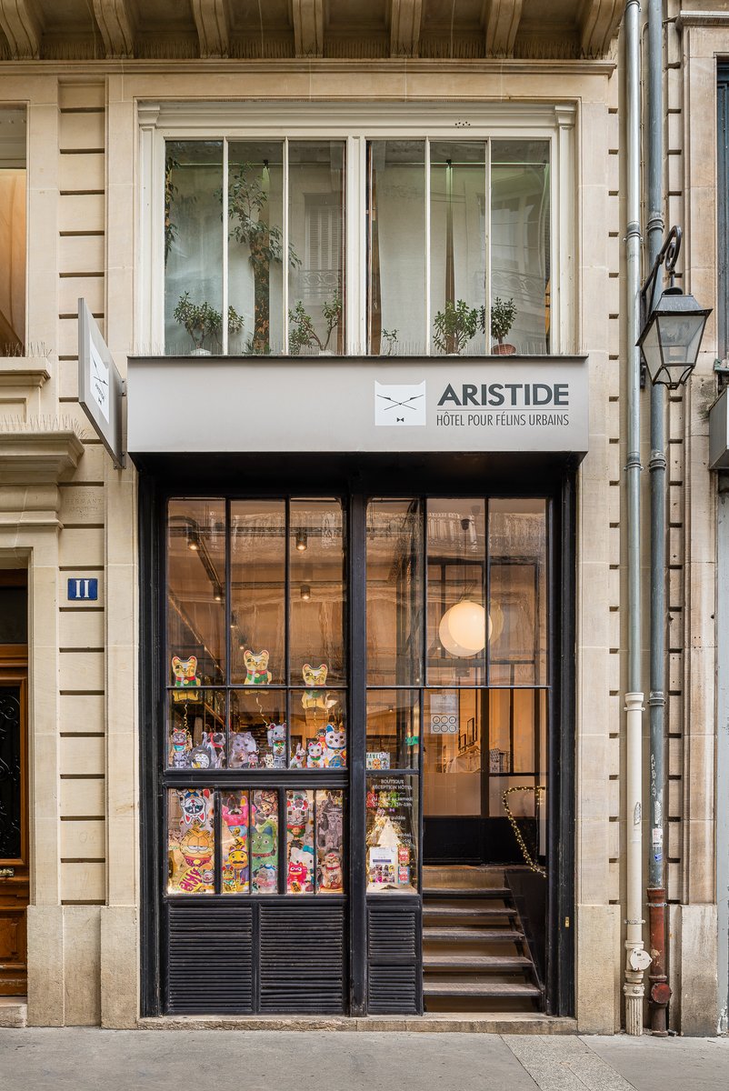 ARISTIDEhotel's tweet photo. YOU ARE MY LUCKY CAT 🐱💫🧧 Notre nouvelle vitrine de Noël est en place : des Maneki Nekos mignons/coquins/kitsch/glossy/arty/freaky venus des 4 coins du monde pour vous porter chance et vous garantir une année 2022 au poil 🍀😻

Pleins de nouveautés à découvrir en boutique ! https://t.co/XqvtIthnzC