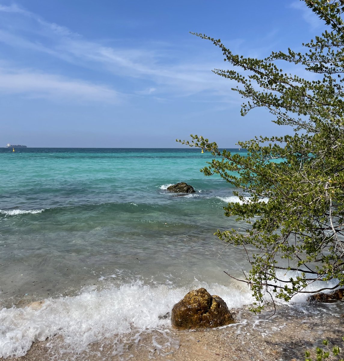 เกาะล้านช่วงนี้น้ำใสมาก สวยจริงๆ ไม่ผิดหวังเลย