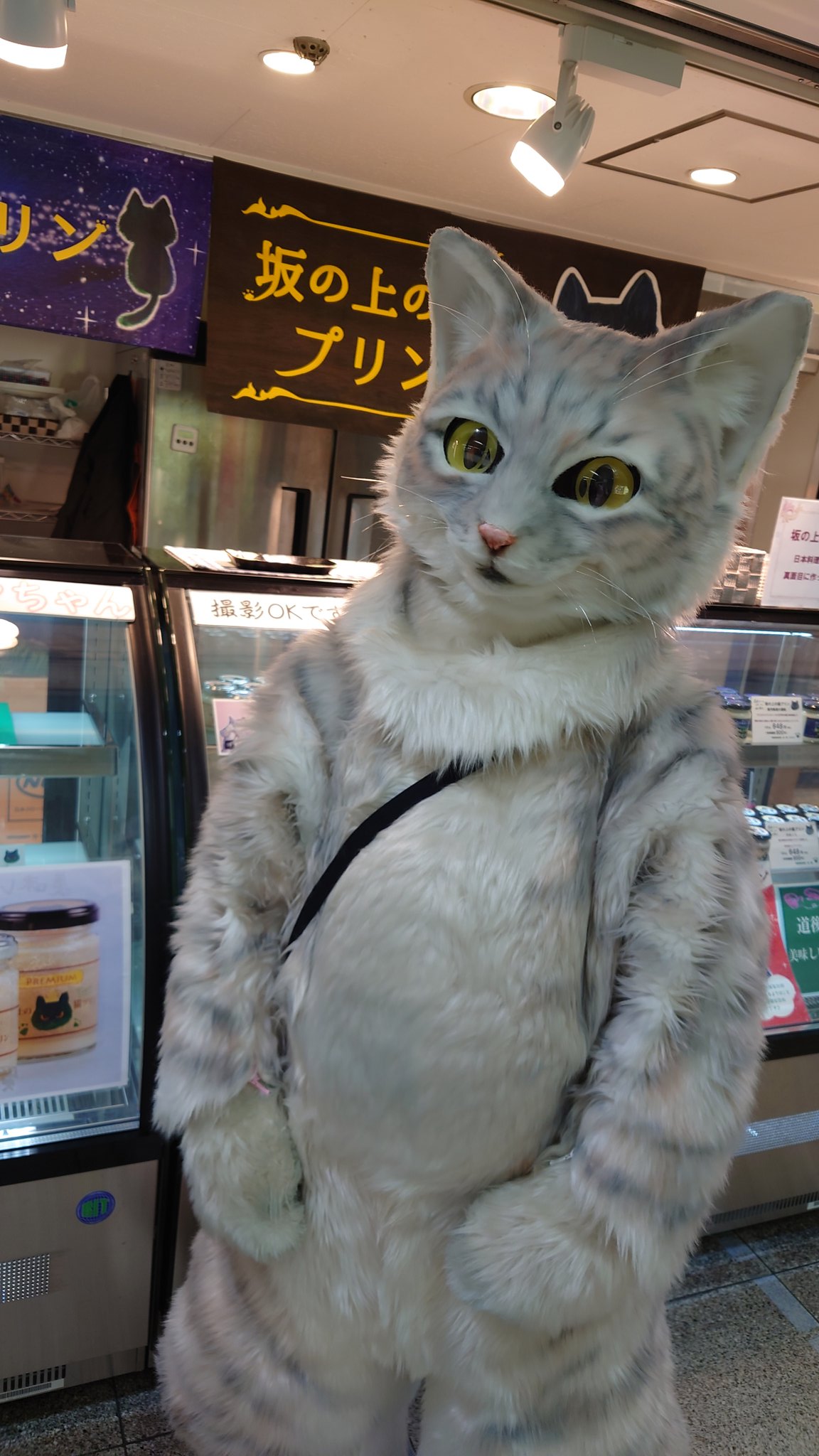 プリン専門店 坂の上の猫 源田 晃一 公式 こんばんは 坂の上の猫プリンのアルバイト猫 ミクちゃん です 明日も13時00分 ラストで 西梅田駅の北改札側のブースにて頑張ります T Co Xuv6leoywf Twitter