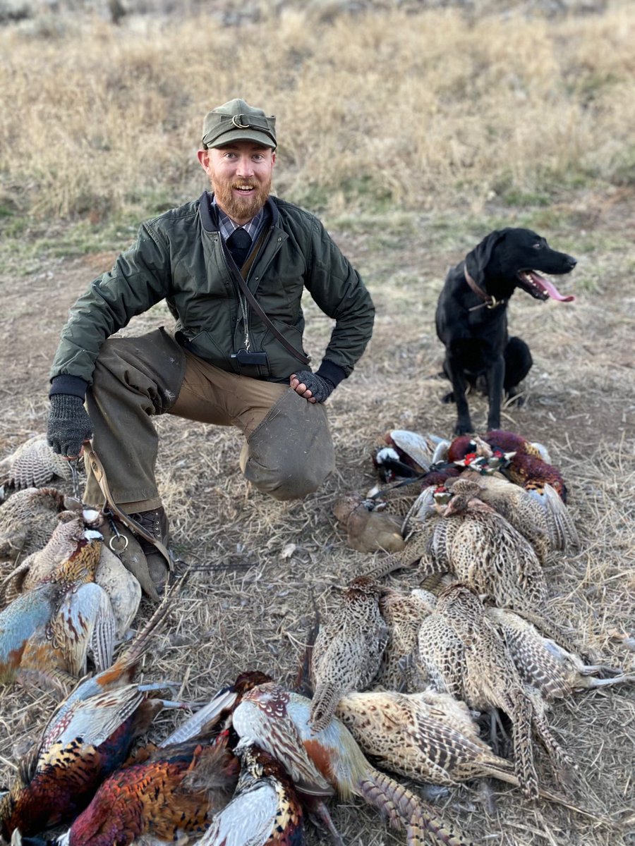 IDSportsmen's tweet photo. #MemberSpotlight: Not only is our member Andrew passionate about hunting &amp; fishing, he is also a top notch dog trainer! #HuntingDogs #PheasantHunting https://t.co/ieJ3AbLyuB