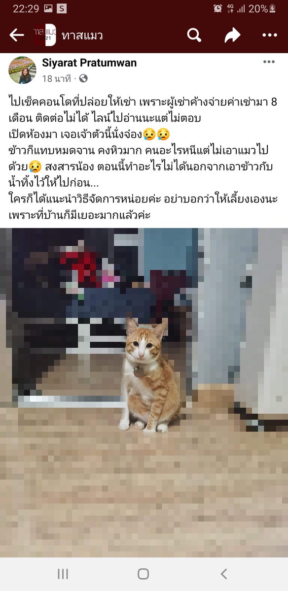 ㅉㅇ&LJ tweet media