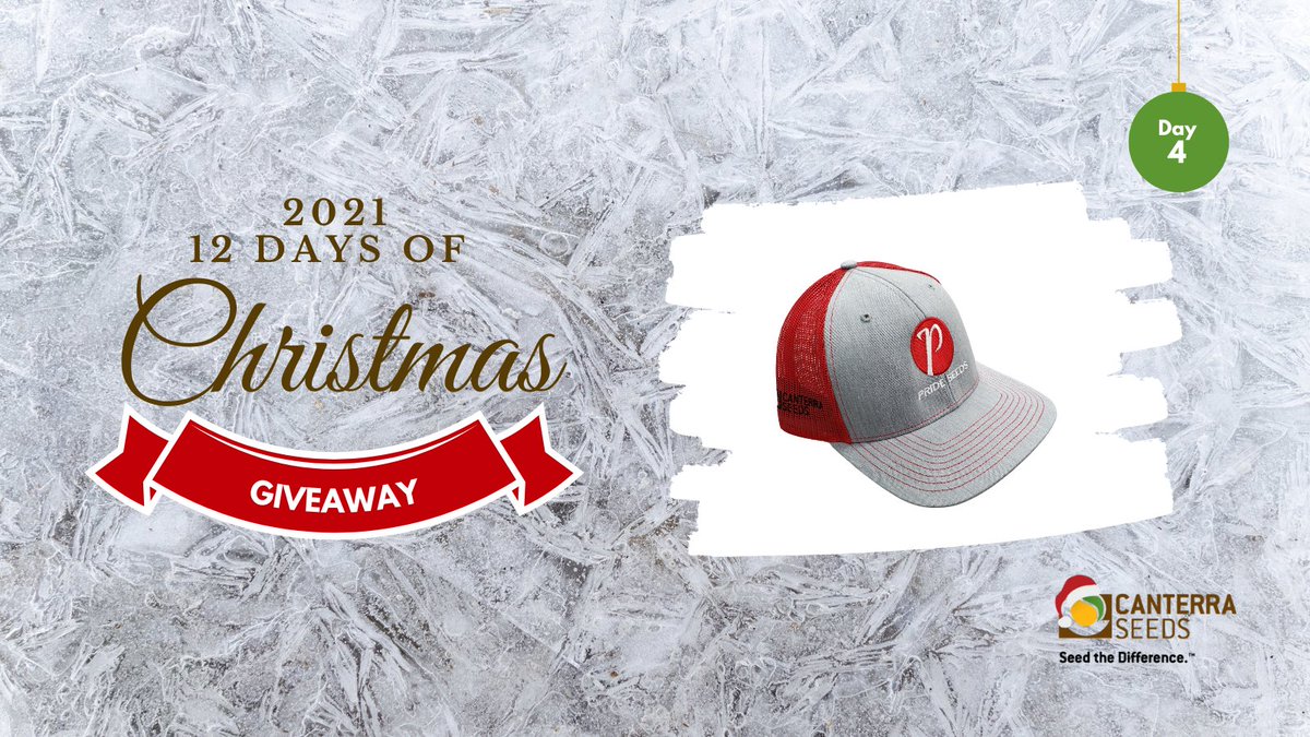 CANTERRA SEEDS (@canterraseeds) on Twitter photo Day 4 of #12DaysofChristmasGiveaway is getting festive 🎄 with red <a href="/PRIDESeeds/">PRIDE Seeds</a> hats! You know what to do - follow us and retweet for your chance to win 1 of 9 of these hats! Winners selected Dec. 16. #WestCdnAg Day 4 of #12DaysofChristmasGiveaway is getting festive 🎄 with red <a href="/PRIDESeeds/">PRIDE Seeds</a> hats! You know what to do - follow us and retweet for your chance to win 1 of 9 of these hats! Winners selected Dec. 16. #WestCdnAg