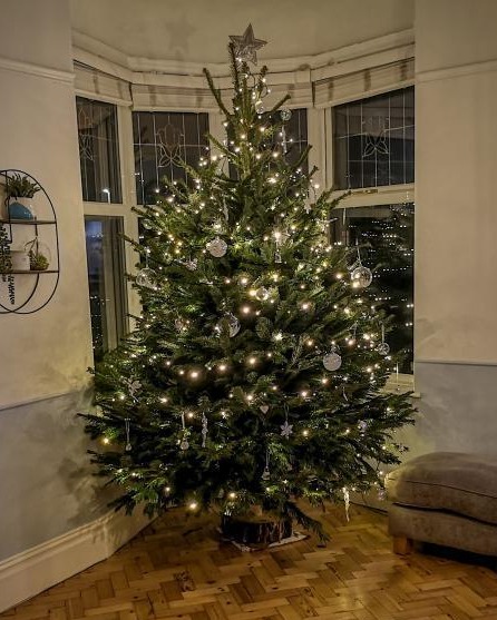 SuregrowGC's tweet photo. Look at how one of our customers decorated their #SuregrowGC #ChristmasTree! 🎄

We think it looks #stunning! 🤩

If you haven't bought your real #ChristmasTrees yet, pop in to #SuregrowGC - there's a tree for everybody! 😊

𝗦𝘂𝗿𝗲𝗹𝘆 the best #trees are from #SuregrowGC! ✅ https://t.co/68Y6htTqFm