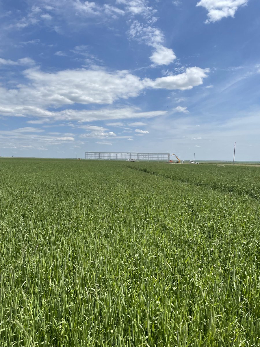 Green Prairie International Inc. tweet media