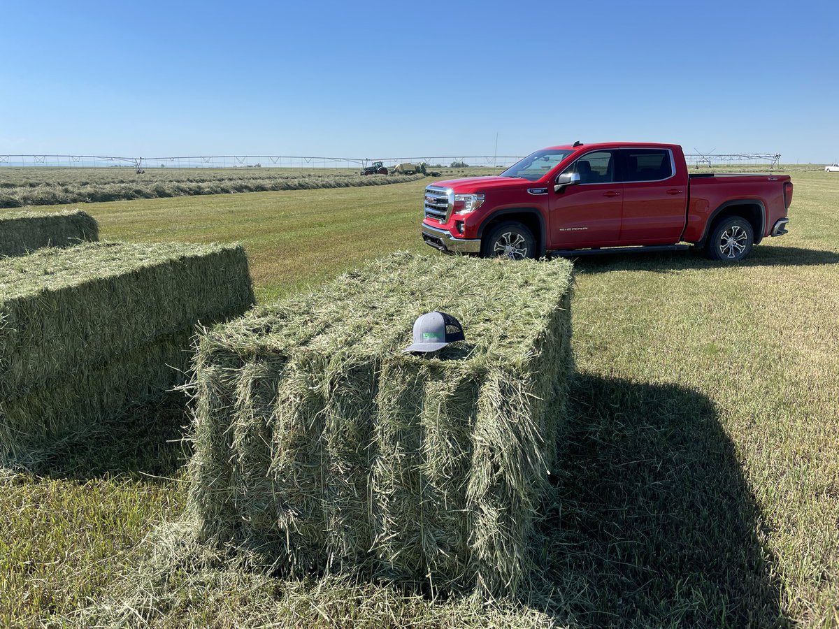 Green Prairie International Inc. tweet media