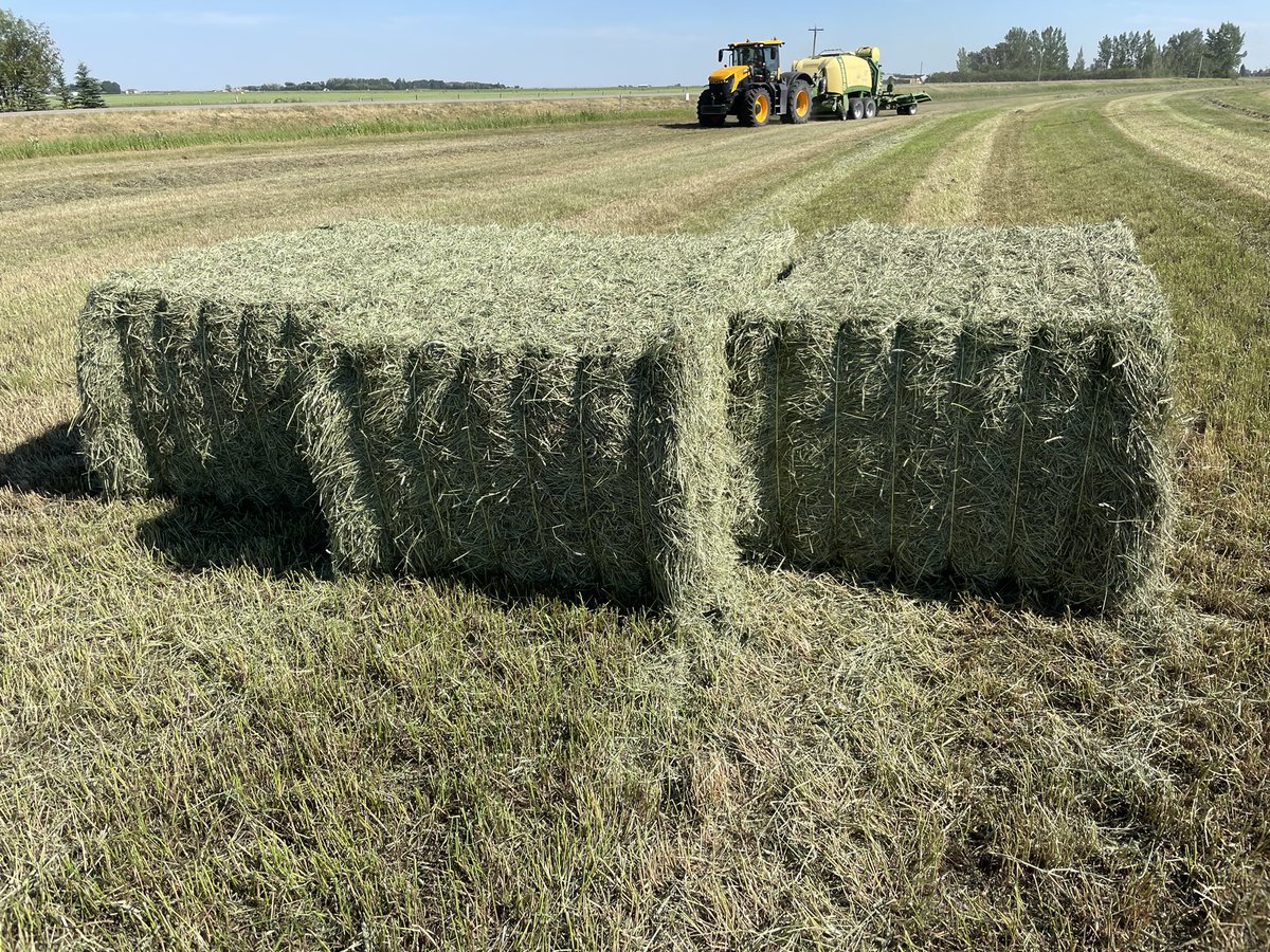 Green Prairie International Inc. tweet media