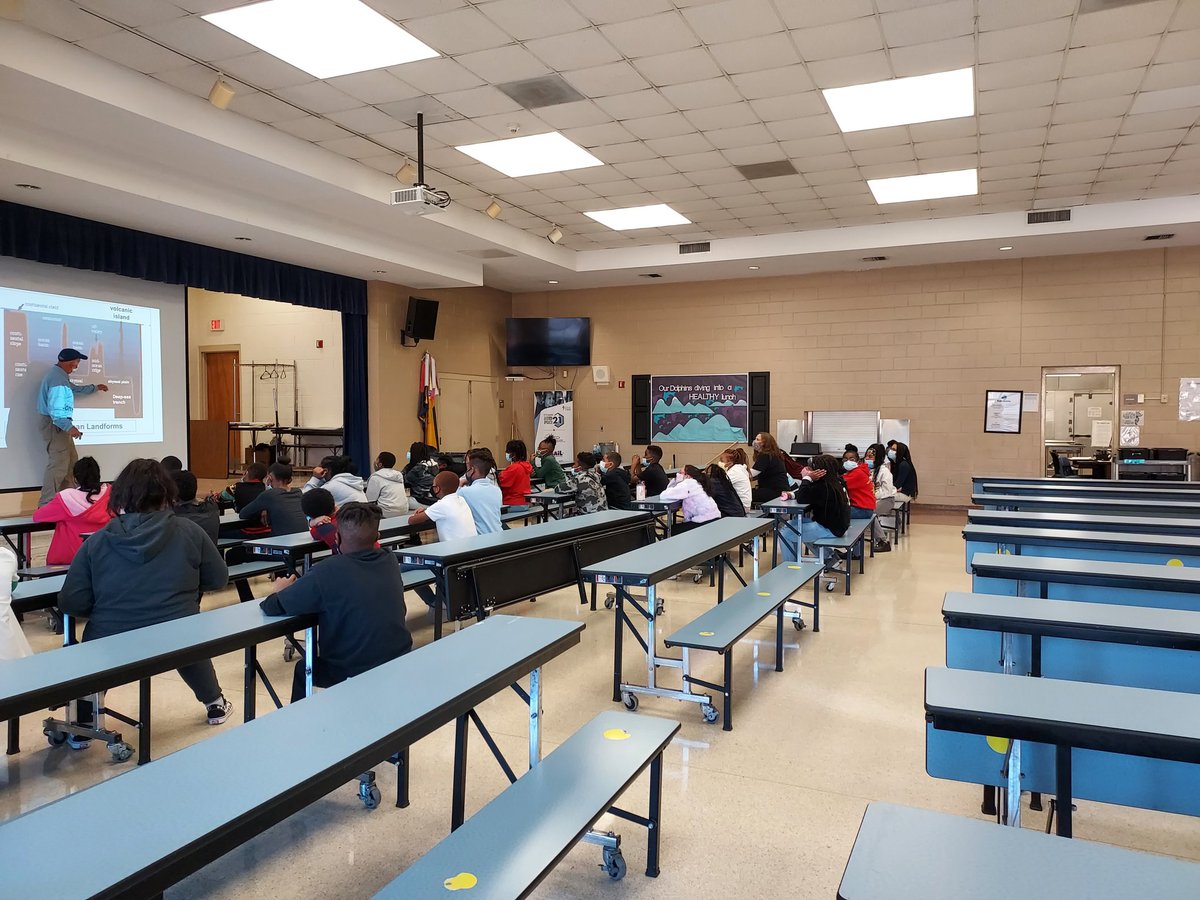 Mandi Nelligan tweet media