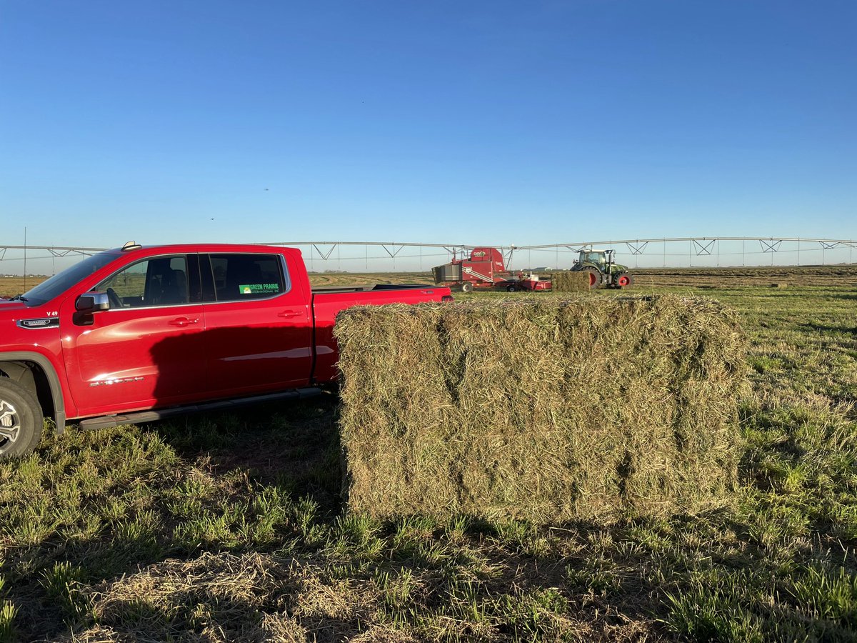 Green Prairie International Inc. tweet media