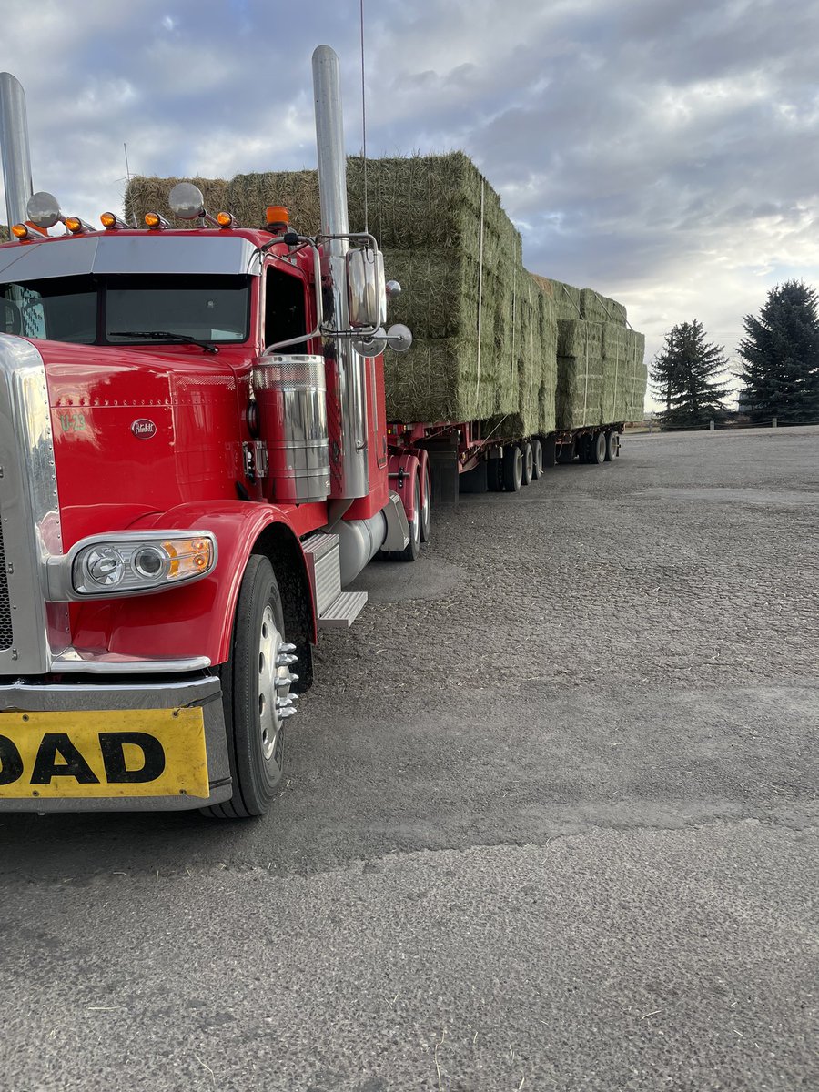 Green Prairie International Inc. tweet media