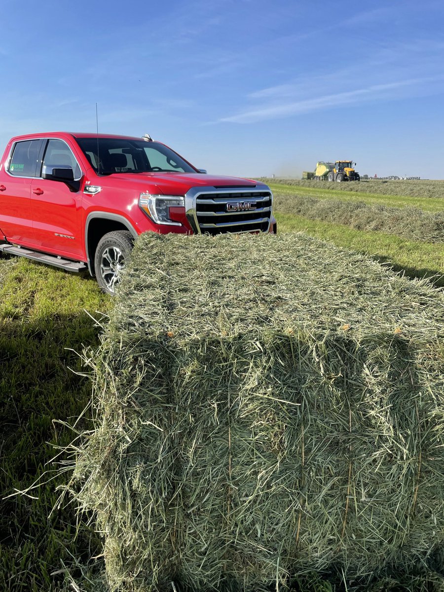 Green Prairie International Inc. tweet media