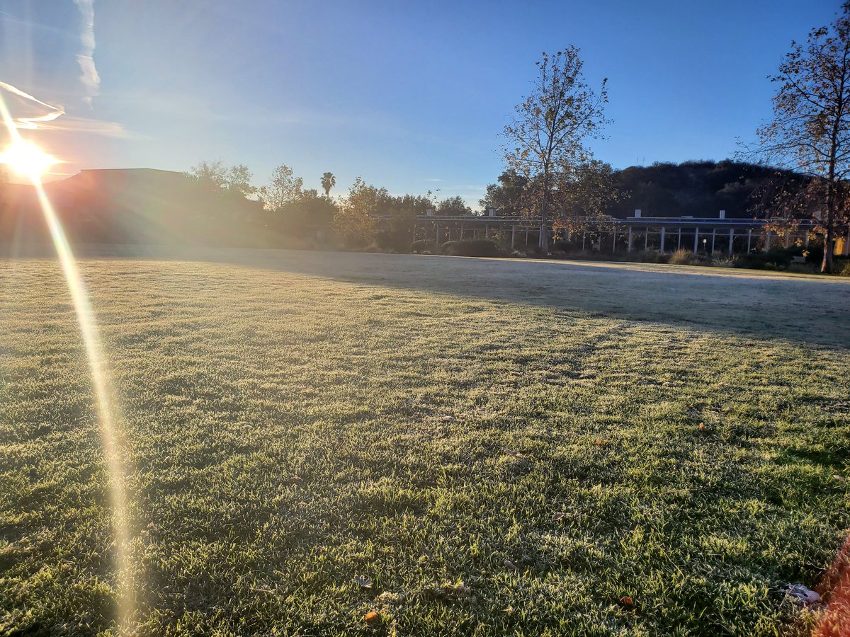 Oak Park High School tweet media