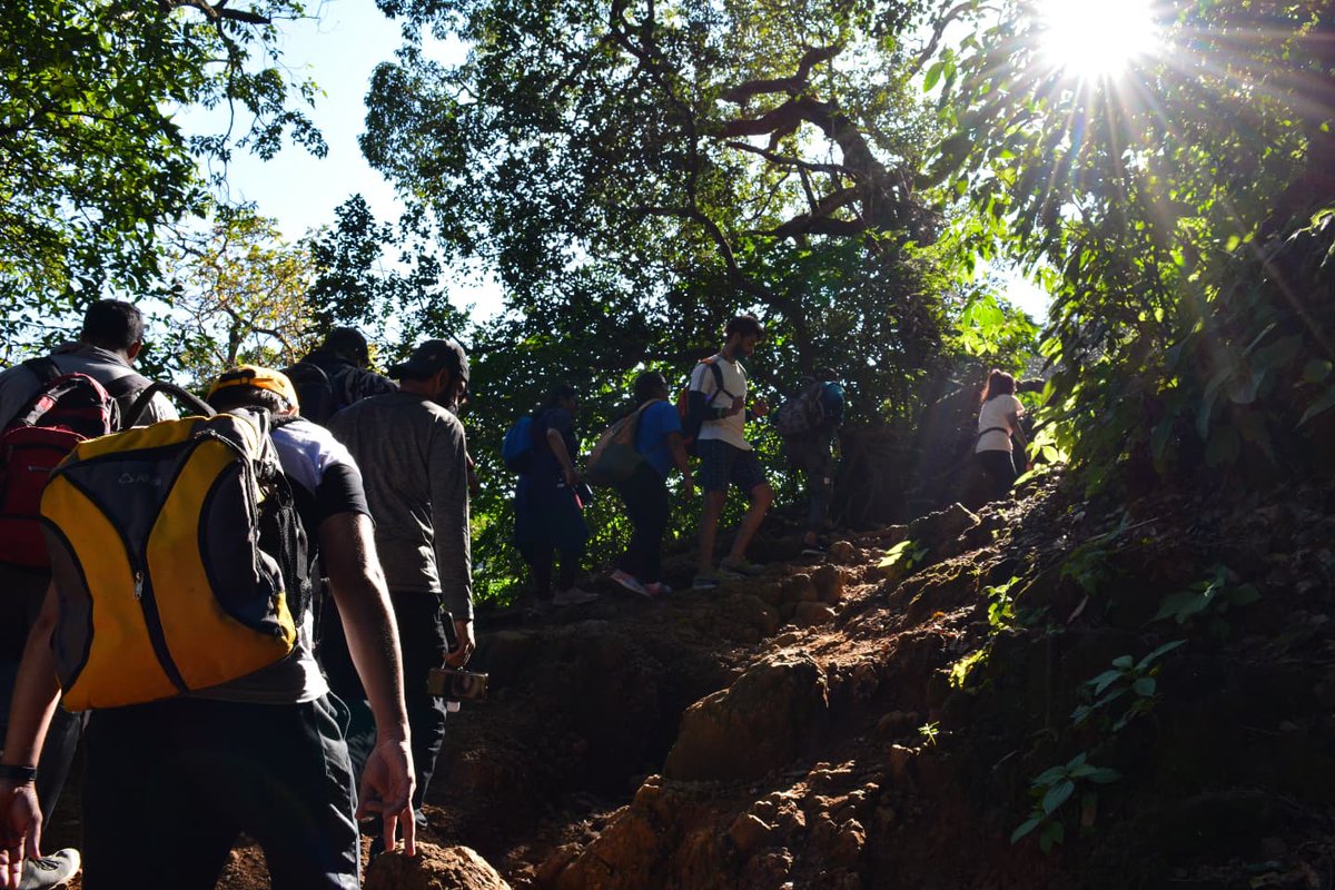 Adventure_Ds's tweet photo. Walking the mighty Harishchandragad and Konkankada

Tag and follow @adventurediariesco for upcoming adventures

#adventure #trekking #hiking #expeditions #harishchandragad #sahyadris #konkankada #maharashtratrekking #trekking #trekkers #adventurediariesco #sahyadristrekking https://t.co/3GH5j5DgOg