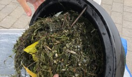 TRCA_HQ's tweet image. #DYK Seabins on Toronto Islands divert an average of 114 pieces of plastic litter per day, including film, bottle caps, foam, cigarette butts, plastic pellets &amp;amp; food packaging! Results are in for the #Seabin project supporting TRCA’s Toronto Inner Harbour Floatables Strategy!