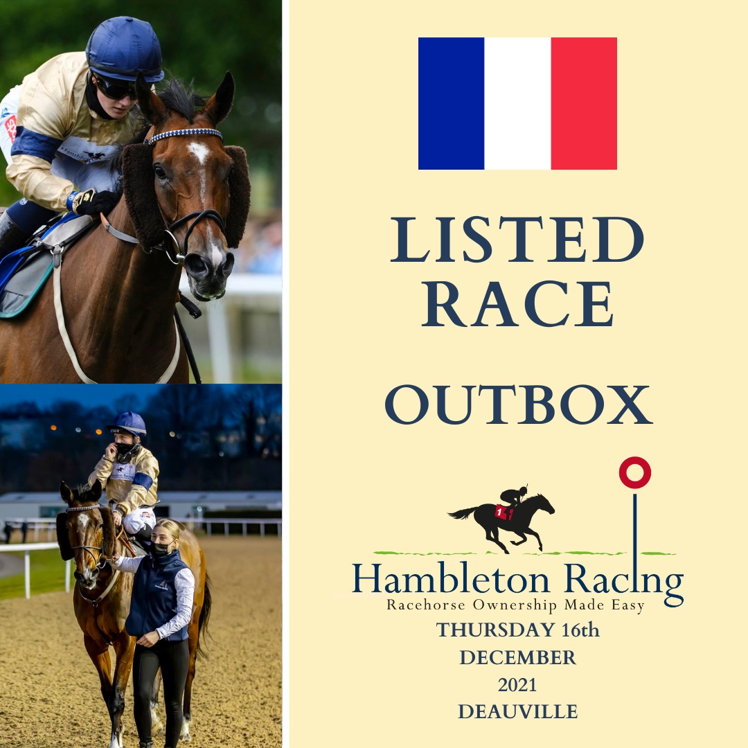 HambletonRacing's tweet image. Outbox is heading on his travels again as he is France bound for the @Archie_Watson team tomorrow! Best of luck to all connections 🇫🇷 #HambletonTeam #PatternRaces #ListedClass #Frankel 🏇 💛 💙