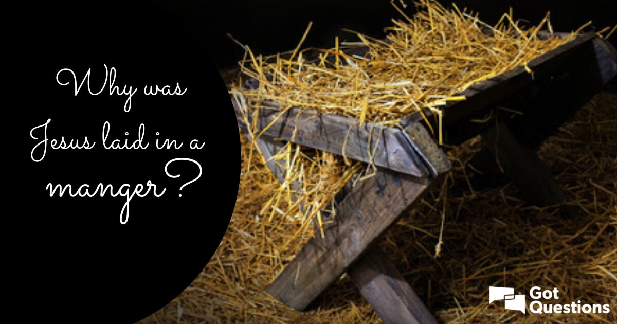 gotquestions's tweet photo. Why was Jesus born in a manger? What does the Bible say? Find out here: https://t.co/5ttb7PVlMe  #JesusManger #GotQuestions https://t.co/ny2mc8Dm83