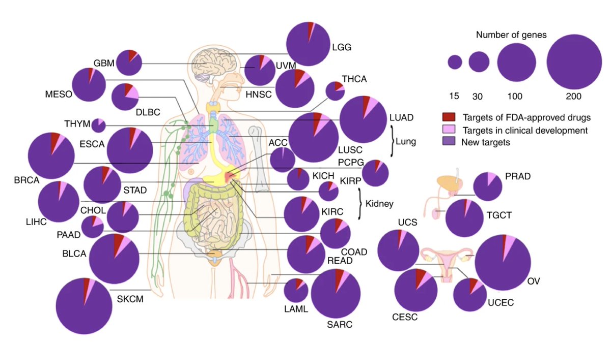Paul Bröckelmann (@broeckelmannpj) on Twitter photo Interestingly analysis <a href="/NatureCancer/">Nature Cancer</a> by <a href="/PennCancer/">Penn Medicine - Abramson Cancer Center</a> establishing "The Cancer Surfaceome Atlas" (fcgportal.org/TCSA) & identifying actionable targets across tissues and tumor entities based on integrative analysis of single-cell and bulk genomic data go.nature.com/3s5EOx9 Interestingly analysis <a href="/NatureCancer/">Nature Cancer</a> by <a href="/PennCancer/">Penn Medicine - Abramson Cancer Center</a> establishing "The Cancer Surfaceome Atlas" (fcgportal.org/TCSA) & identifying actionable targets across tissues and tumor entities based on integrative analysis of single-cell and bulk genomic data go.nature.com/3s5EOx9