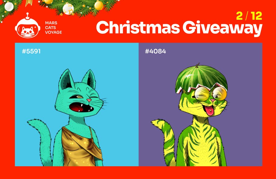 Mars Cats Voyage tweet media