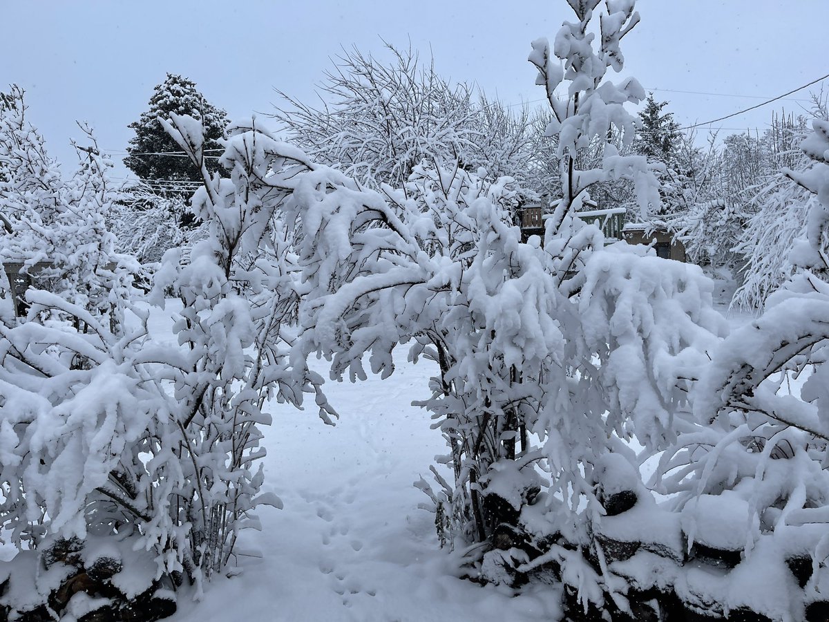 I’m sorry I doubted you #Utah. 

#BestSnowonEarth