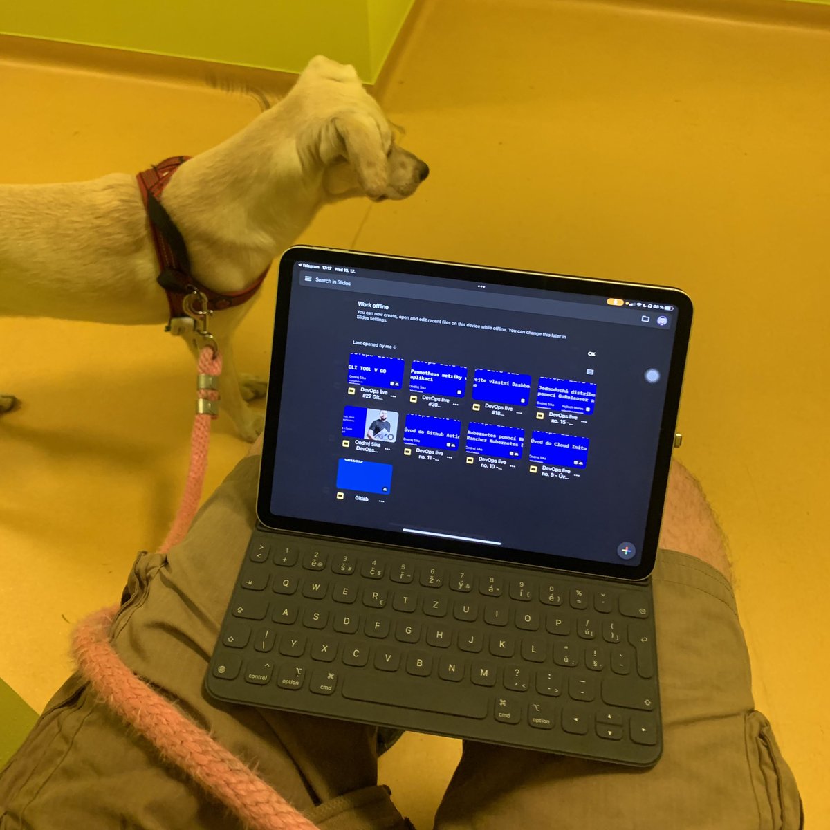 ondrejsika's tweet photo. Priprava na dnesni #DevOpsLiveCZ z chodby pred bytem. Ano, zabounul jsem si klice. A ano, na prochazku se psem jsem si bral iPad :D https://t.co/EeEFQfUE0g