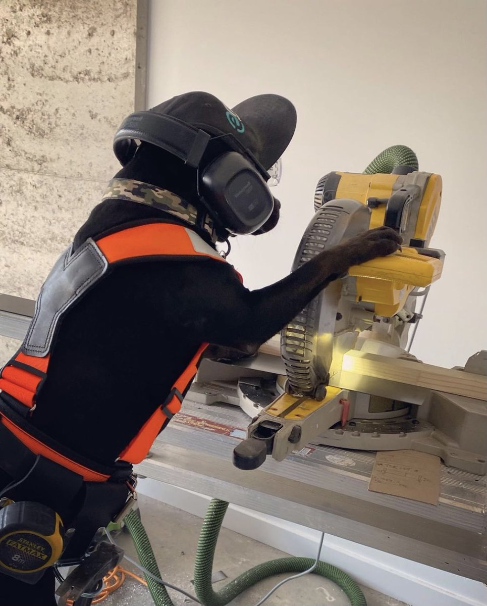Benburrows7's tweet photo. The new apprentice coming on leaps and bounds https://t.co/k07cAfEPoZ