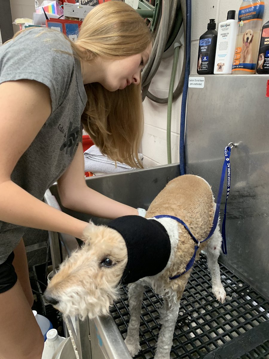 Mrs.V's Classroom tweet media