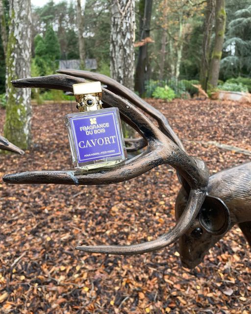 rosinaperfumery's tweet photo. Cavort 🦌is an intensely intimate fragrance that evokes the frisson of excitement of a first encounter. A sultry saffron-infused aroma hints at the anticipation of what lies behind that stolen second glance.
#cavort #fragrancedubois #rosinaperfumery #perfume #niche #cologne https://t.co/b2adfVhnre