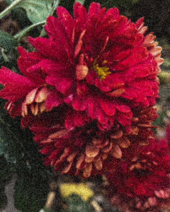 Love ❤️ https://t.co/YuVLIYSkkS<a href="/tag/xhamster"class="tags"><span>#xhamster</span></a>