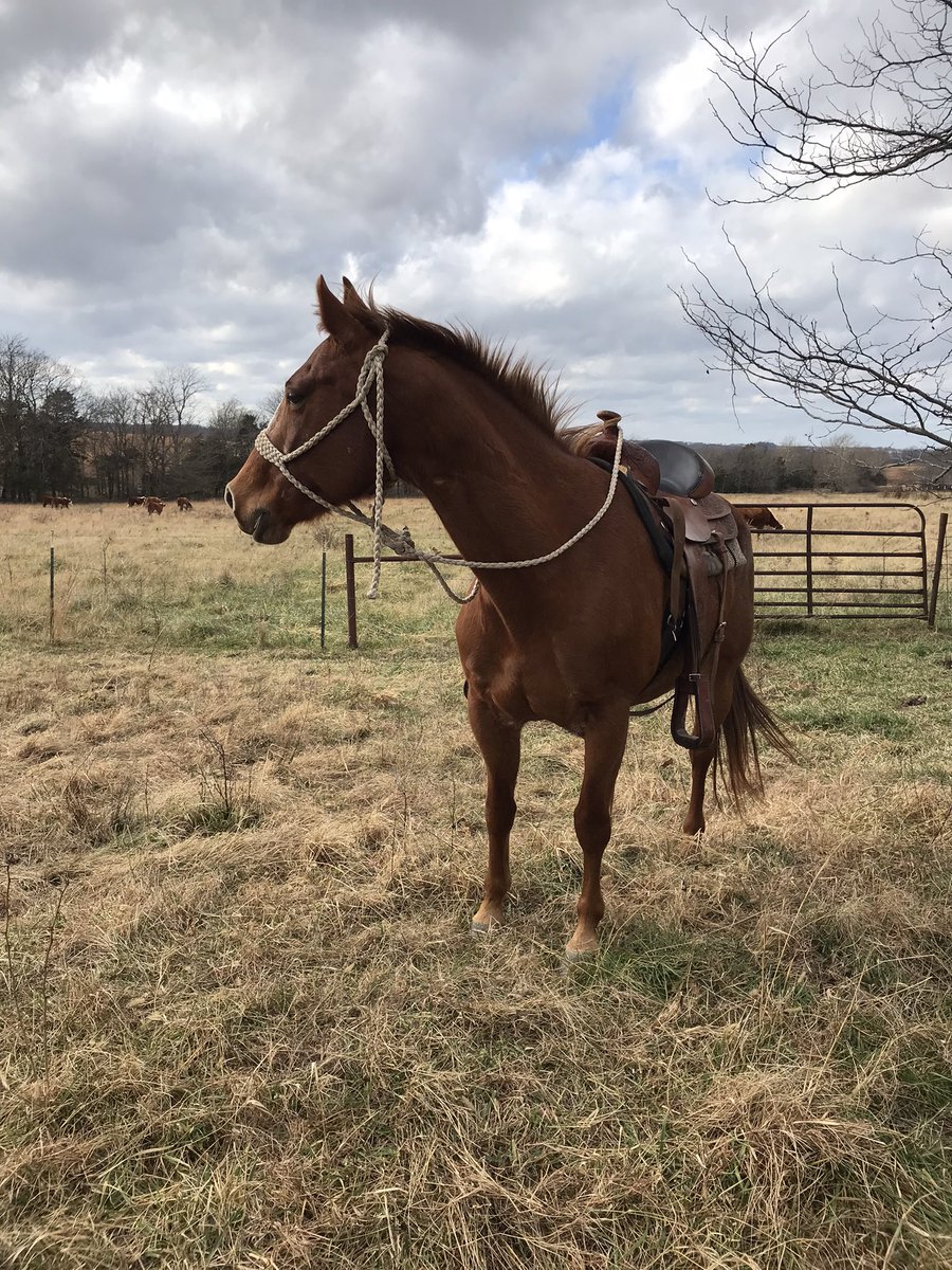 A different office view today.