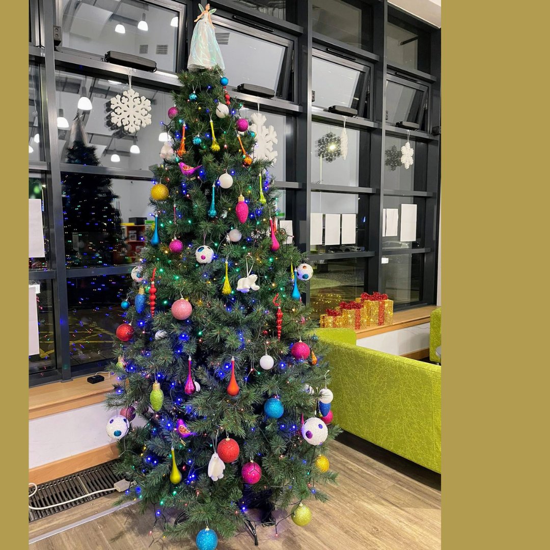 LibFalkirk's tweet photo. One day to go and not one, but two, Christmas trees from Denny Library!
Day 7 of #Treemas #ALibraryTreeADay #YourDailyTree #LibraryChristmasCountdown #MerryChristmas https://t.co/yJE6qYlwJh