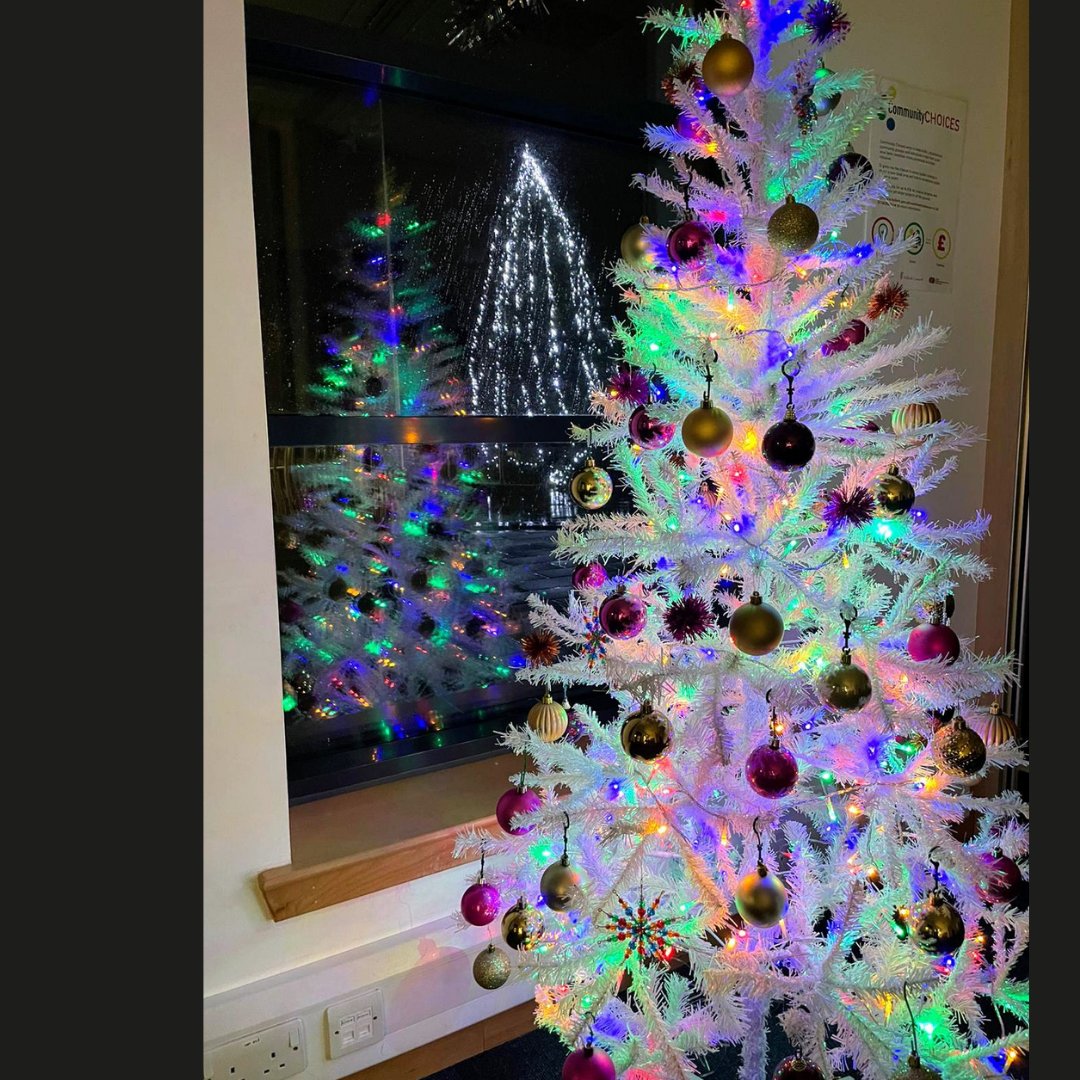 LibFalkirk's tweet photo. One day to go and not one, but two, Christmas trees from Denny Library!
Day 7 of #Treemas #ALibraryTreeADay #YourDailyTree #LibraryChristmasCountdown #MerryChristmas https://t.co/yJE6qYlwJh