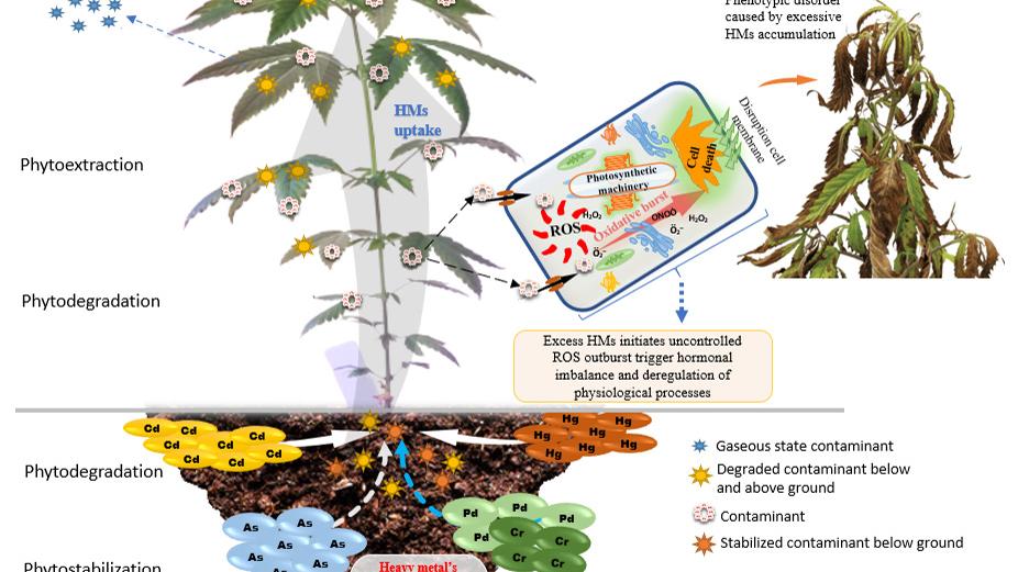 Penn State College of Agricultural Sciences tweet media