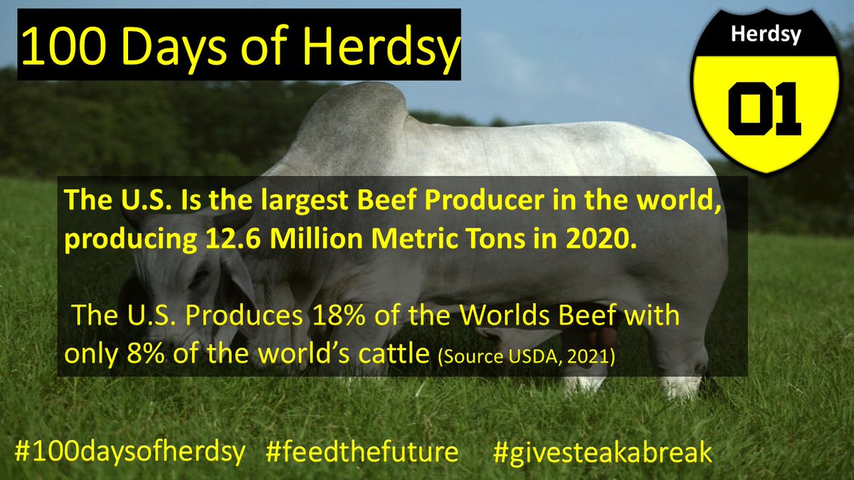 The US is not just the largest Beef Producer in the world it is also, one of the most efficient! #givesteakabreak #100daysofherdsy