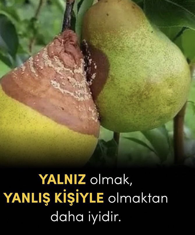 Unutmayın.